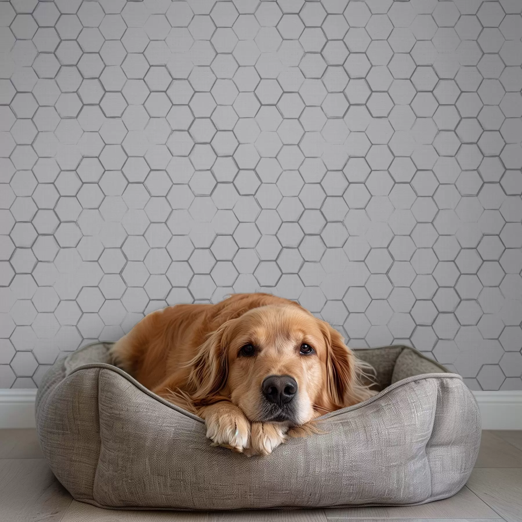 Papier peint Fine grille hexagonale sur fond texturé gris clair a01060