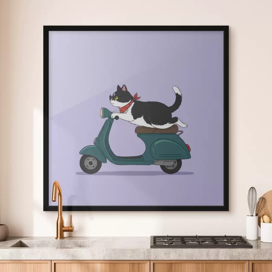 Papier peint Chat sur un cyclomoteur f46847