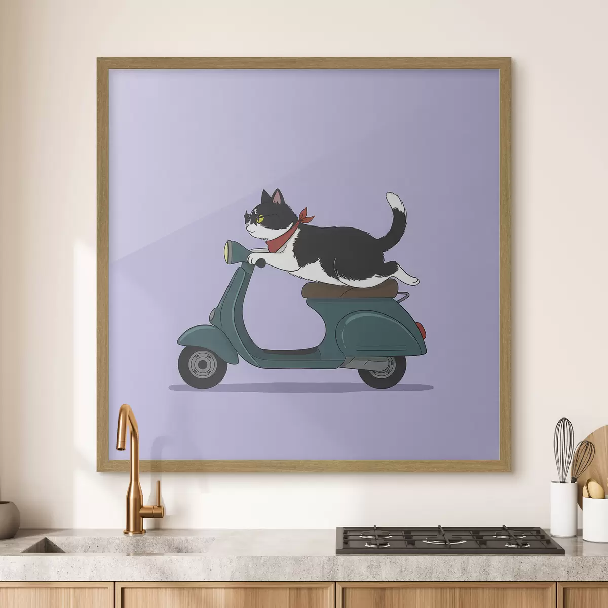 Poster Chat sur un cyclomoteur f46847