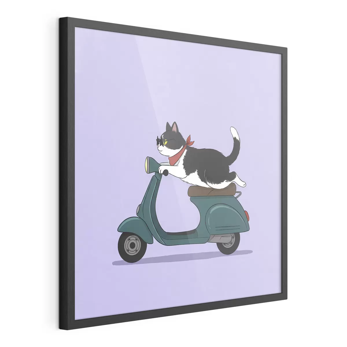 Poster Chat sur un cyclomoteur f46847