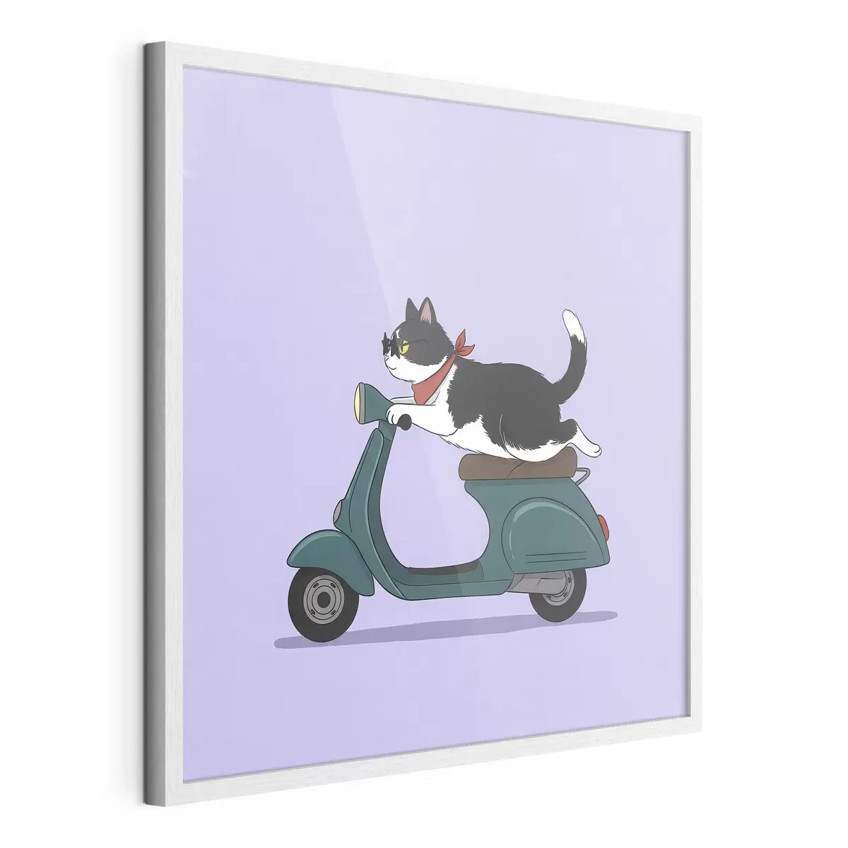 Poster Chat sur un cyclomoteur f46847