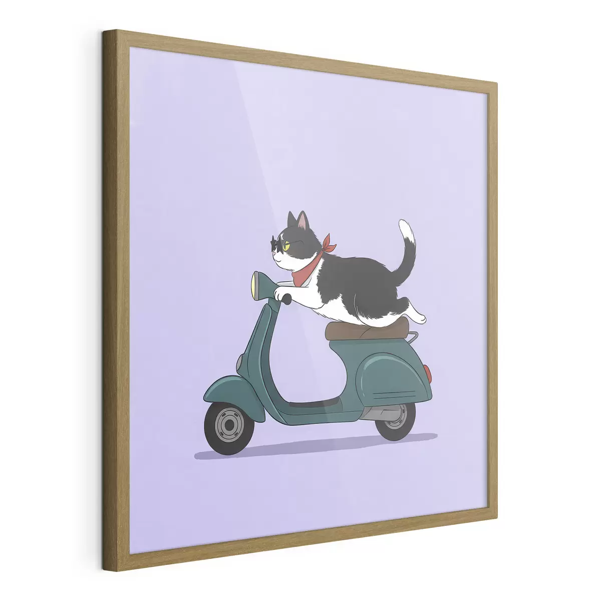 Poster Chat sur un cyclomoteur f46847