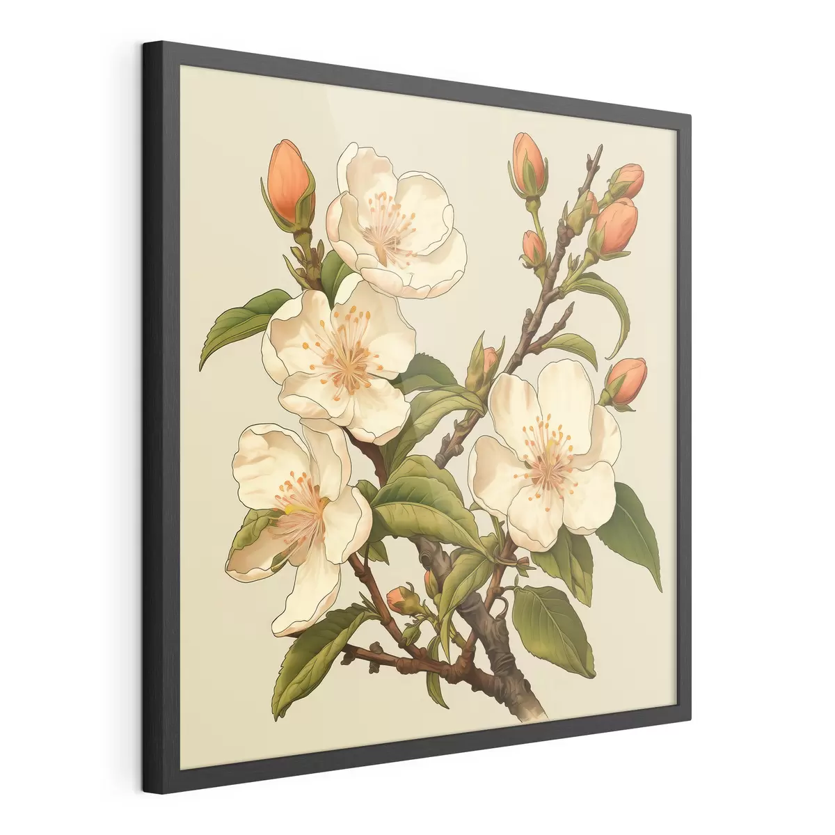 Poster Branche fleurie avec des fleurs blanches sur fond beige dans le style d'une illustration classique f46923
