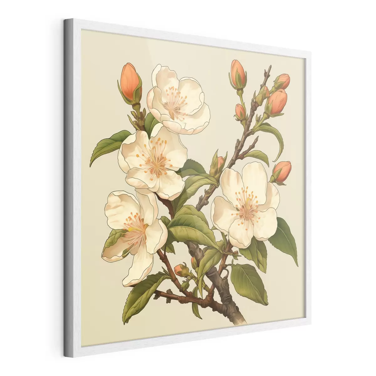 Poster Branche fleurie avec des fleurs blanches sur fond beige dans le style d'une illustration classique f46923