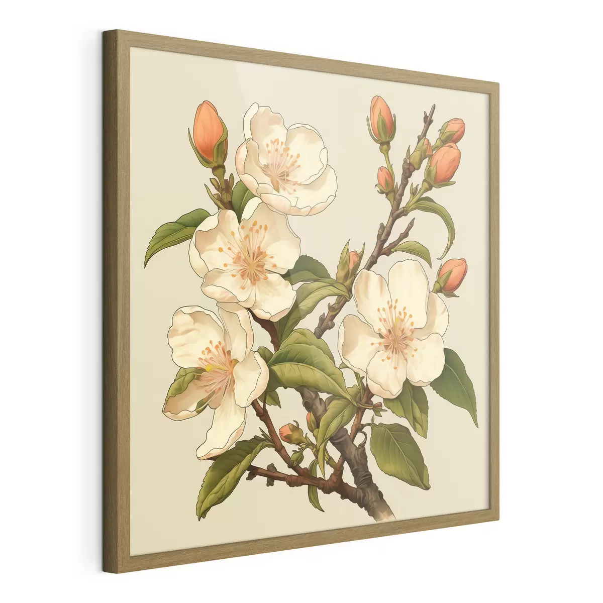 Poster Branche fleurie avec des fleurs blanches sur fond beige dans le style d'une illustration classique f46923