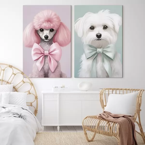 Dernières créations