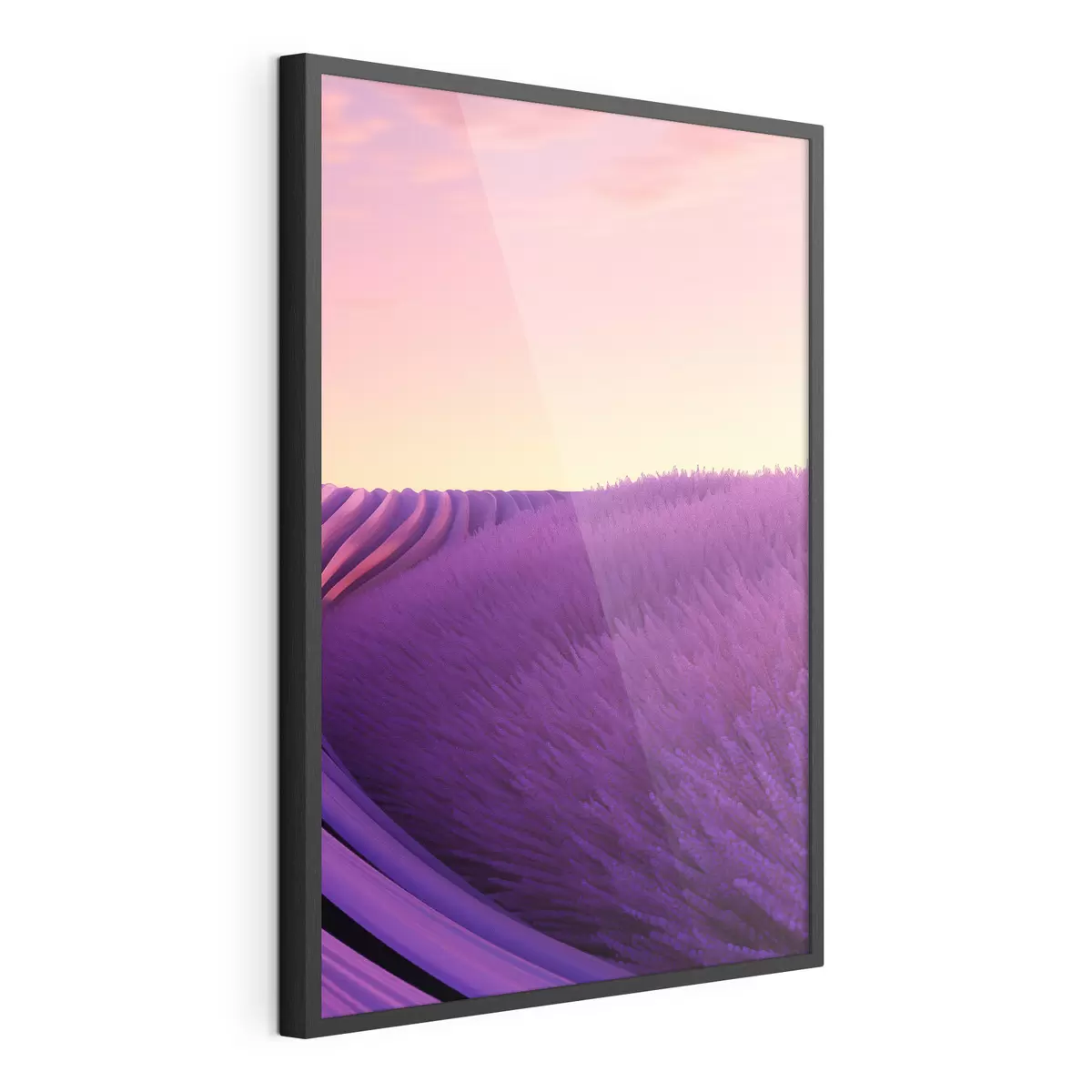 Poster Champ de lavande au coucher du soleil f47111