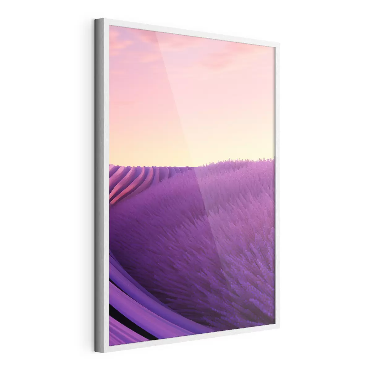 Poster Champ de lavande au coucher du soleil f47111