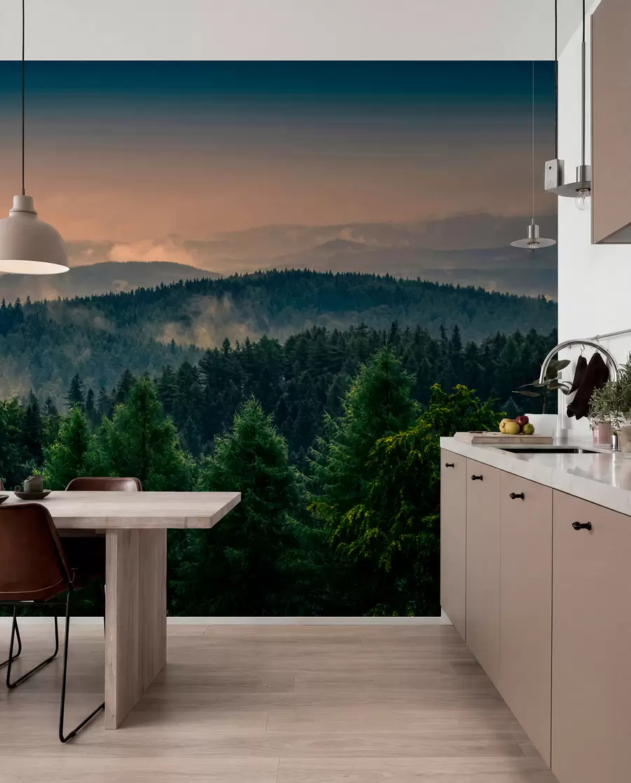 Papier peint Arbres d'arbres dans le brouillard u72174