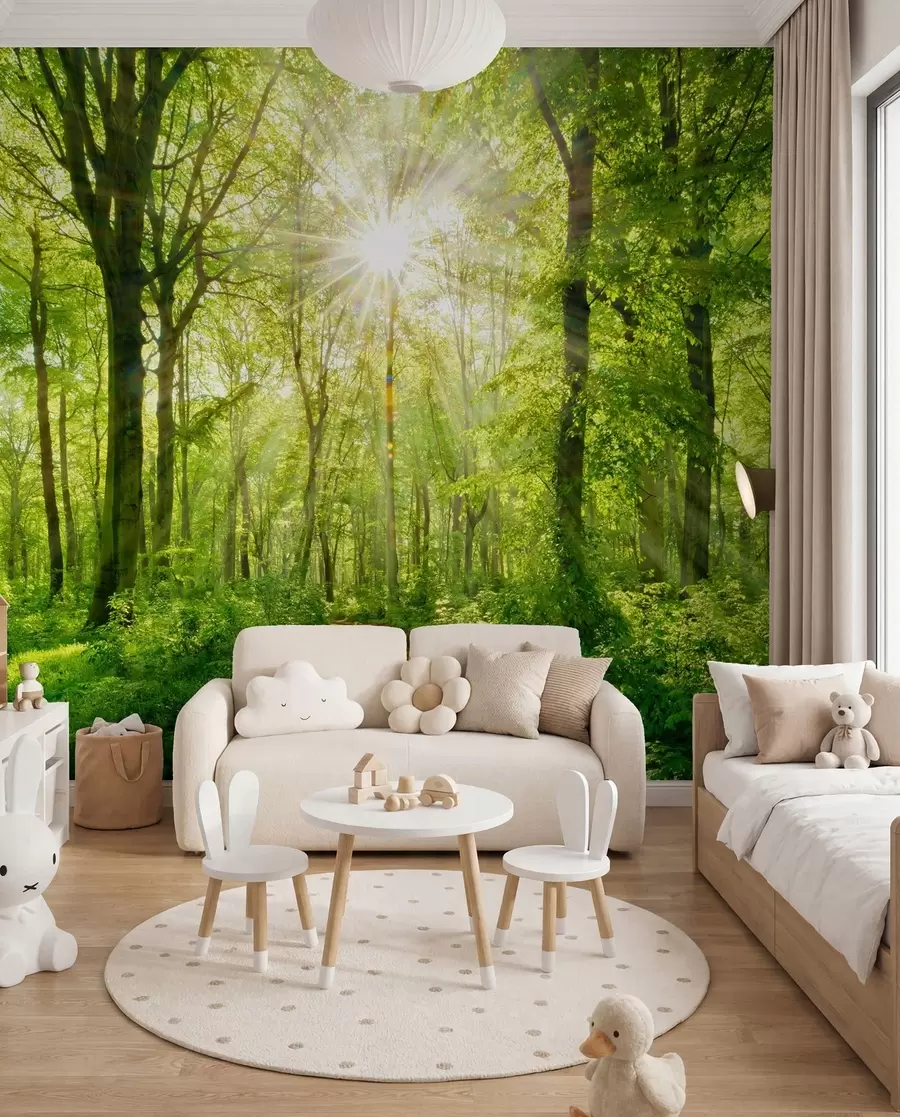 Papier peint Sentier sous les branches u22252