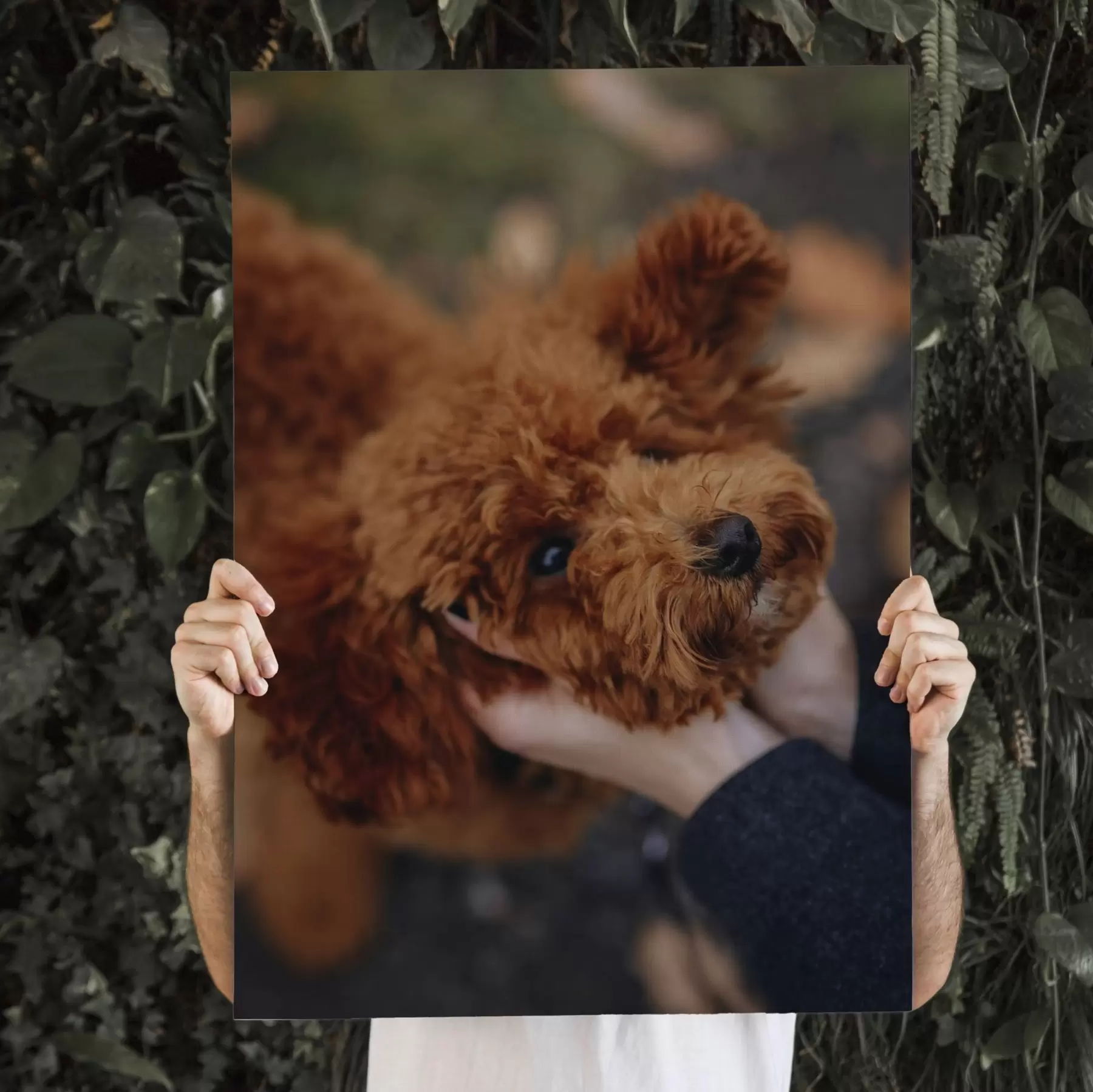 Tableau Votre chien réalisé sur mesure à partir de votre photo s47163