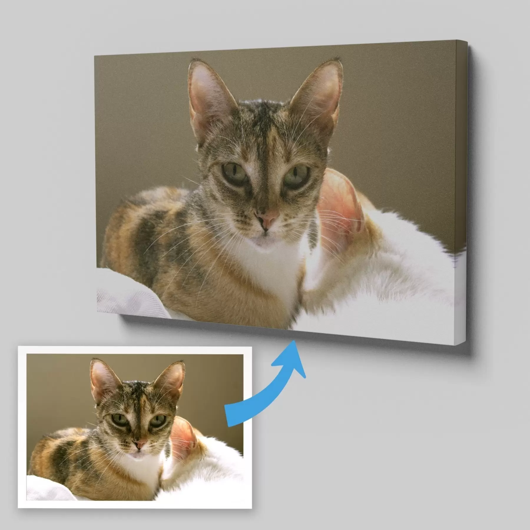 Tableau Photo de votre chat sur toile s47165