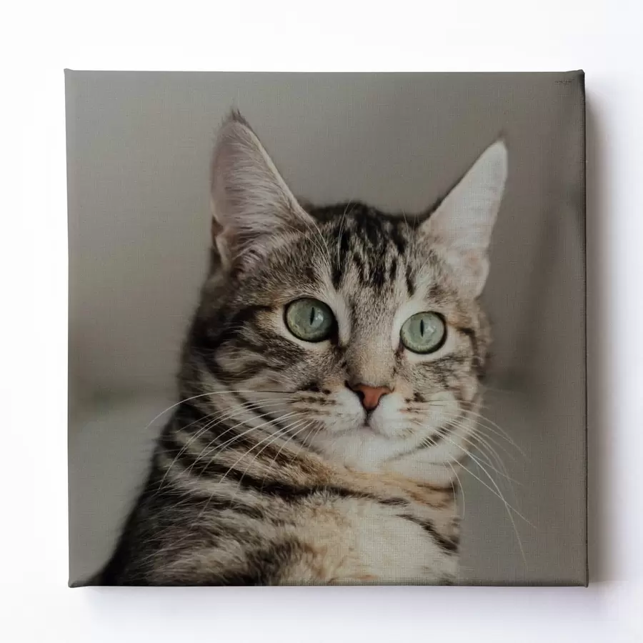 Tableau Cadeau romantique pour un couple basé sur une photo s47204