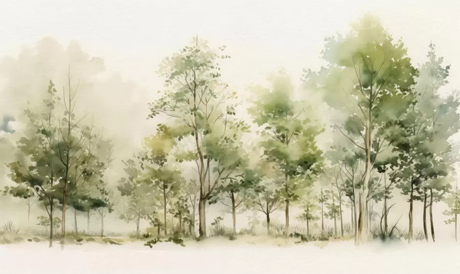 Papier peint Forêt de feuillus aquarellée w05180