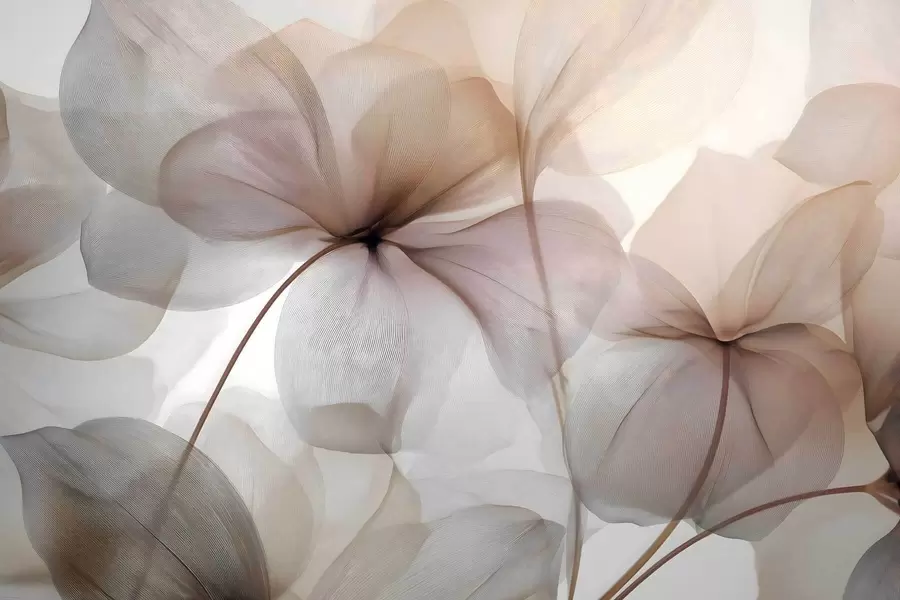 Papier peint fleurs semi-transparentes avec des nervures w05070