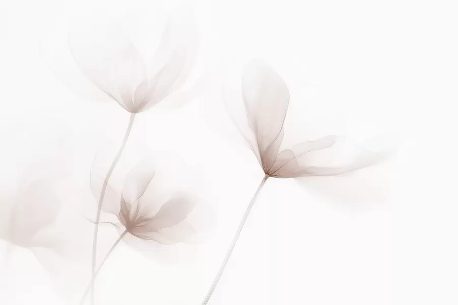 Papier peint Fleurs beiges aériennes dans un style minimaliste et lumineux w09734