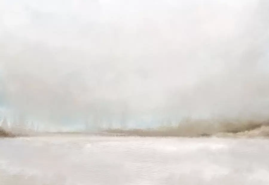 Papier peint Paysage brumeux avec lac et forêt w05319