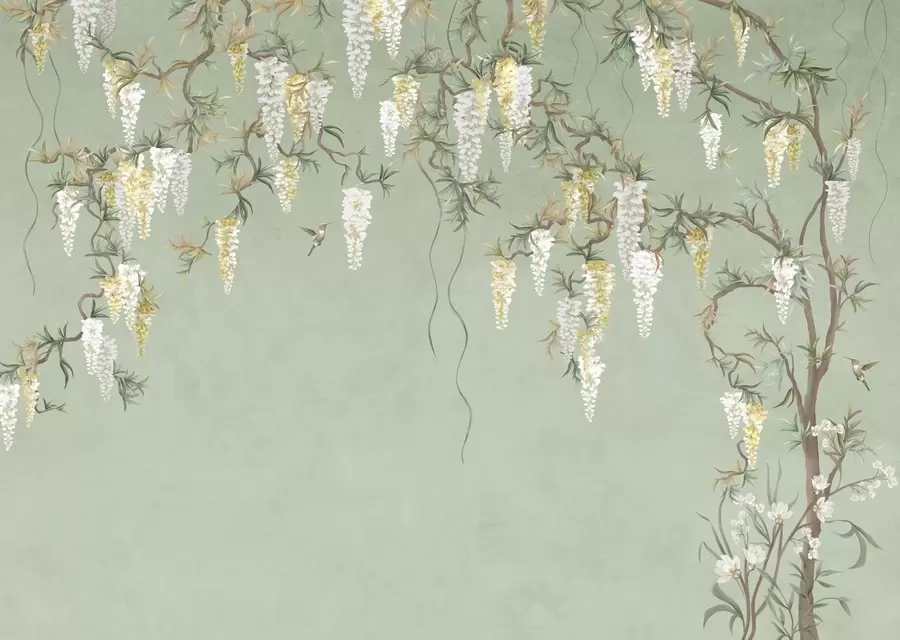 Papier peint Des branches fleuries avec des fleurs blanches et des oiseaux sur fond vert w05394
