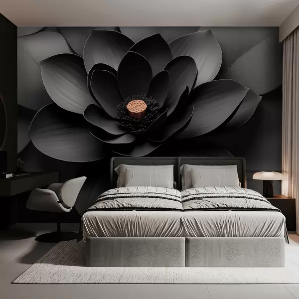 Dernières créations