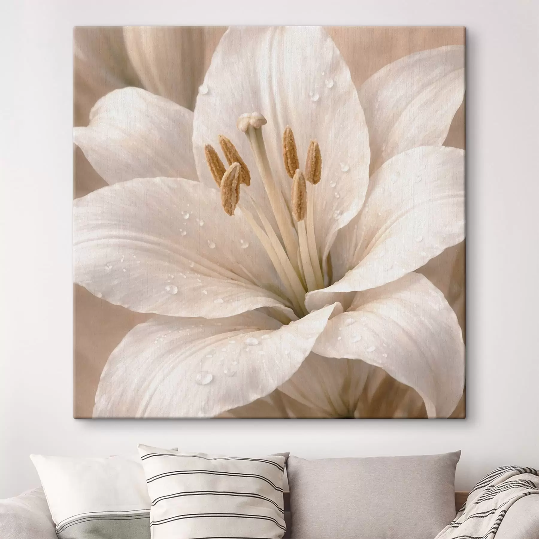Tableau Gros plan sur une fleur blanche avec des gouttelettes d'eau s48028