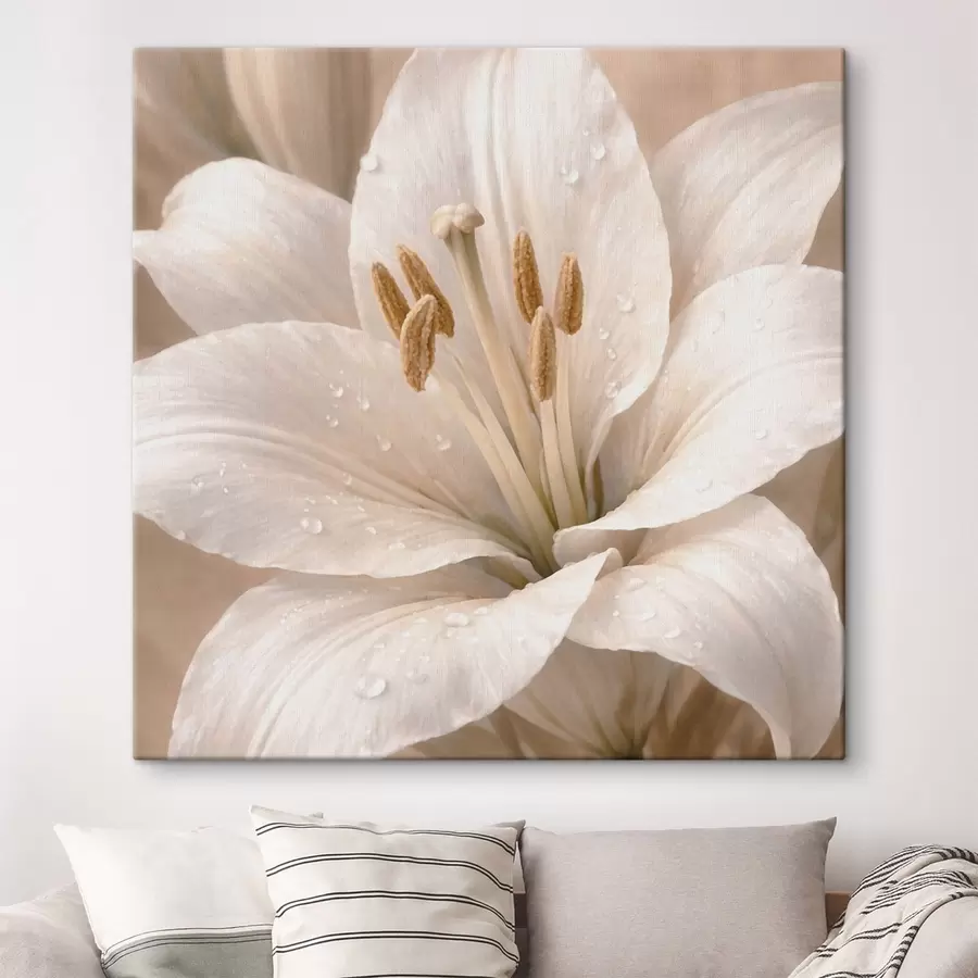 Tableau Gros plan sur une fleur blanche avec des gouttelettes d'eau s48028