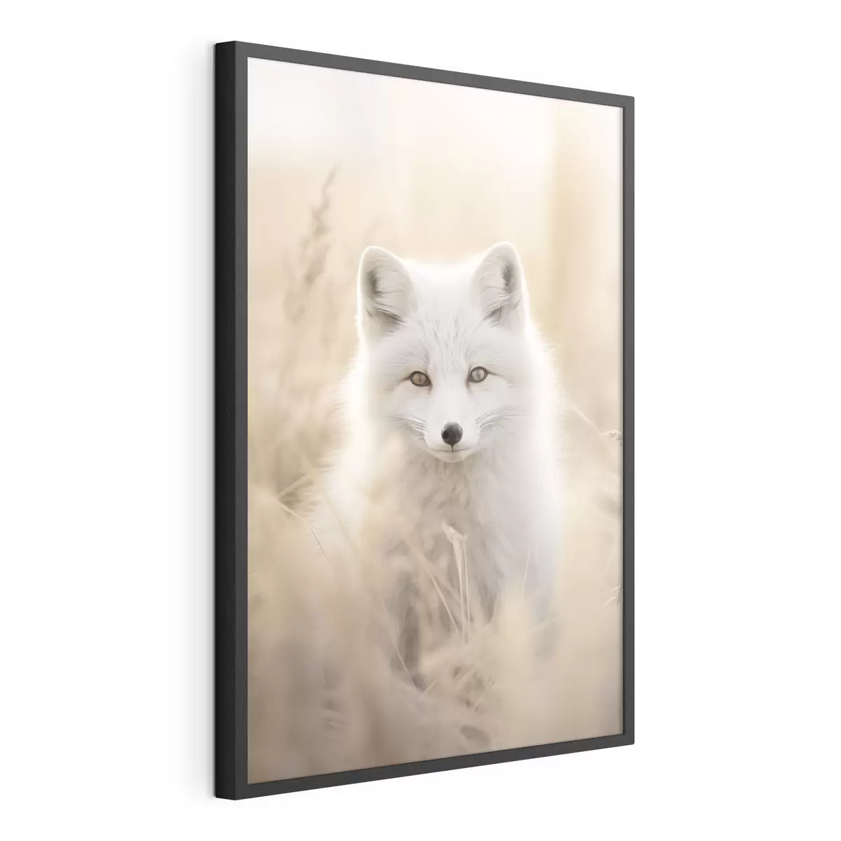 Poster Renard arctique f48498