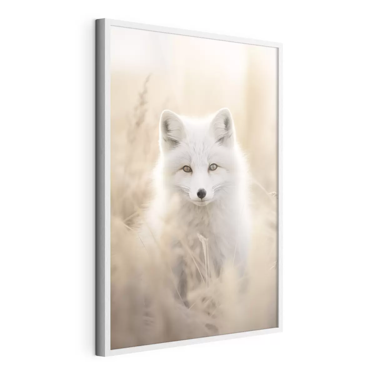 Poster Renard arctique f48498