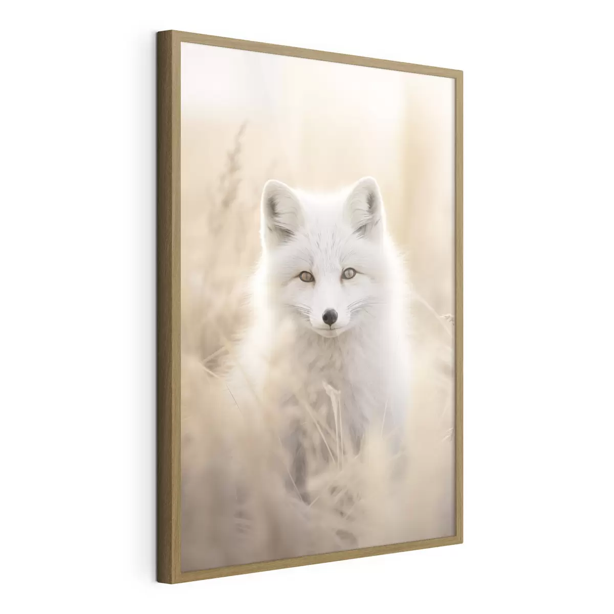 Poster Renard arctique f48498