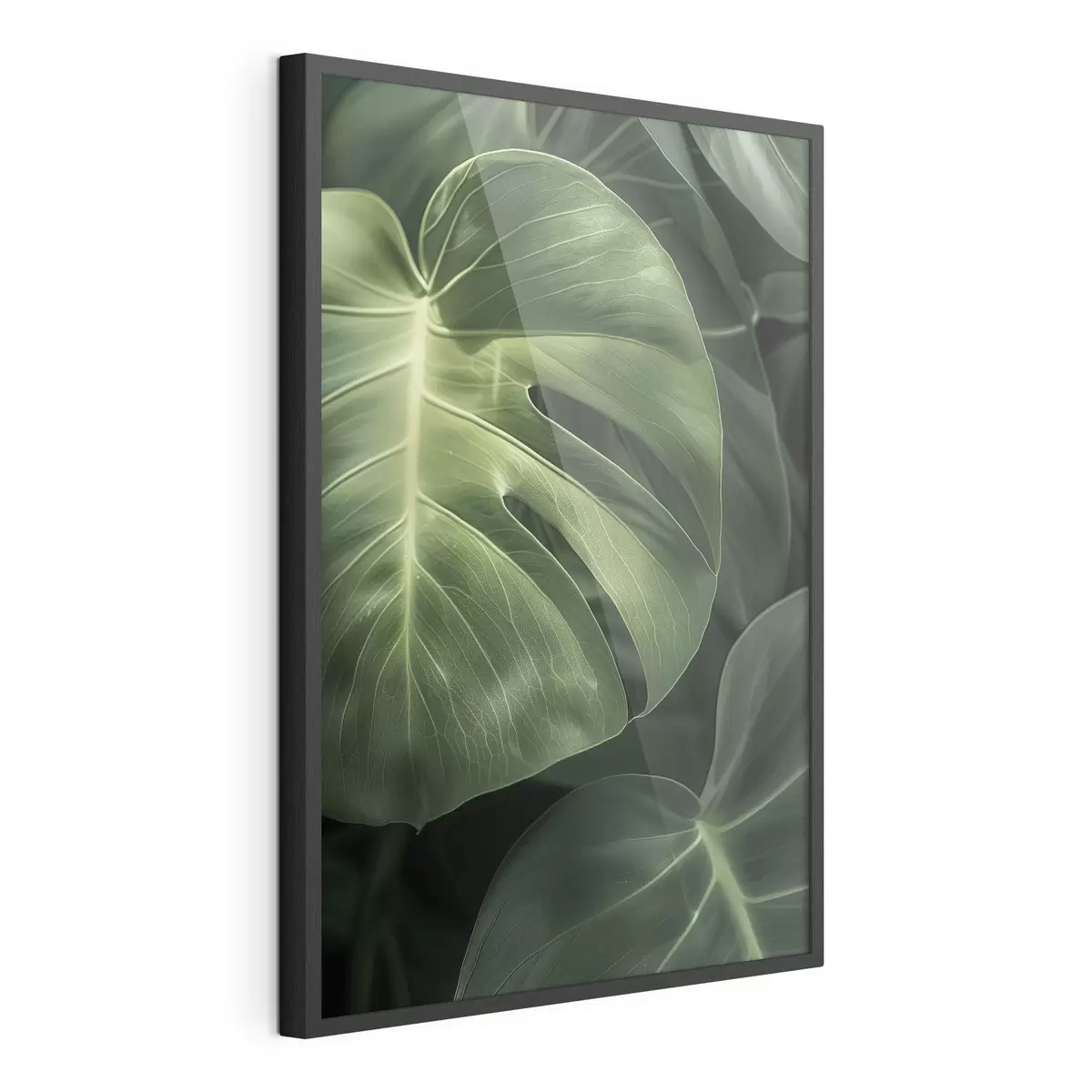 Poster Grandes feuilles tropicales f48578