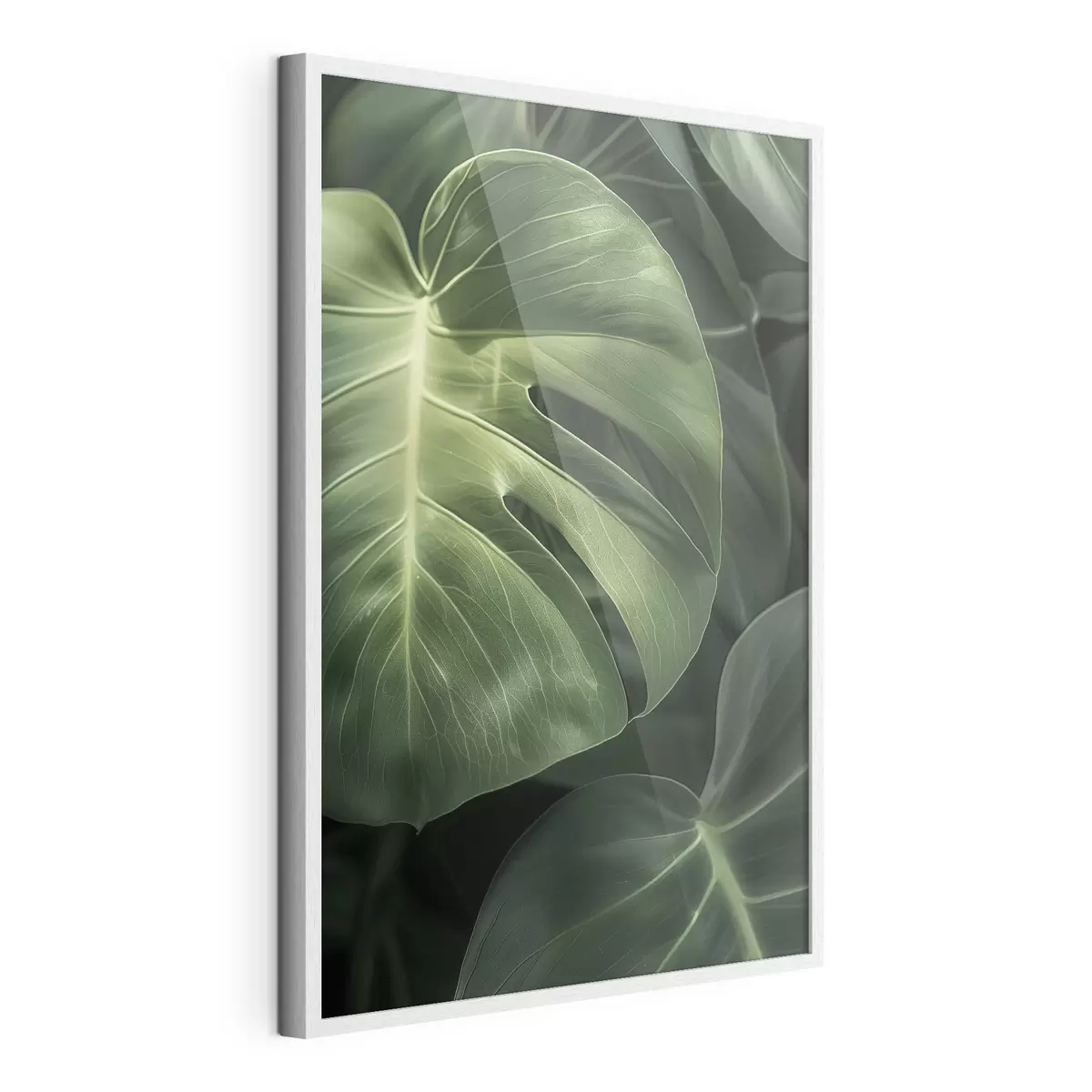 Poster Grandes feuilles tropicales f48578