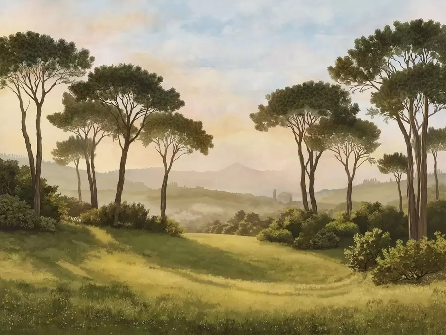 Papier peint Paysage avec des arbres baignés dans la lumière chaude du coucher de soleil w05122