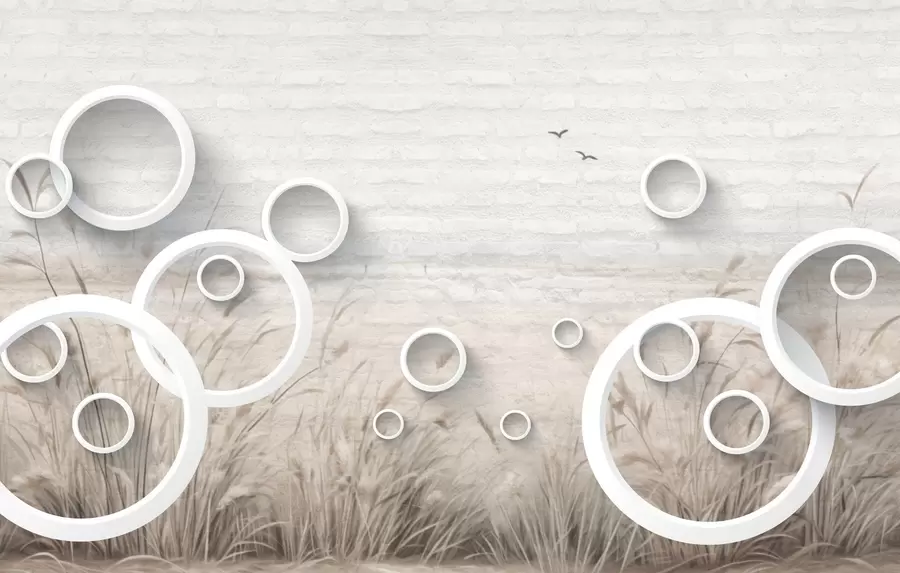 Papier peint Cercles abstraits w09781