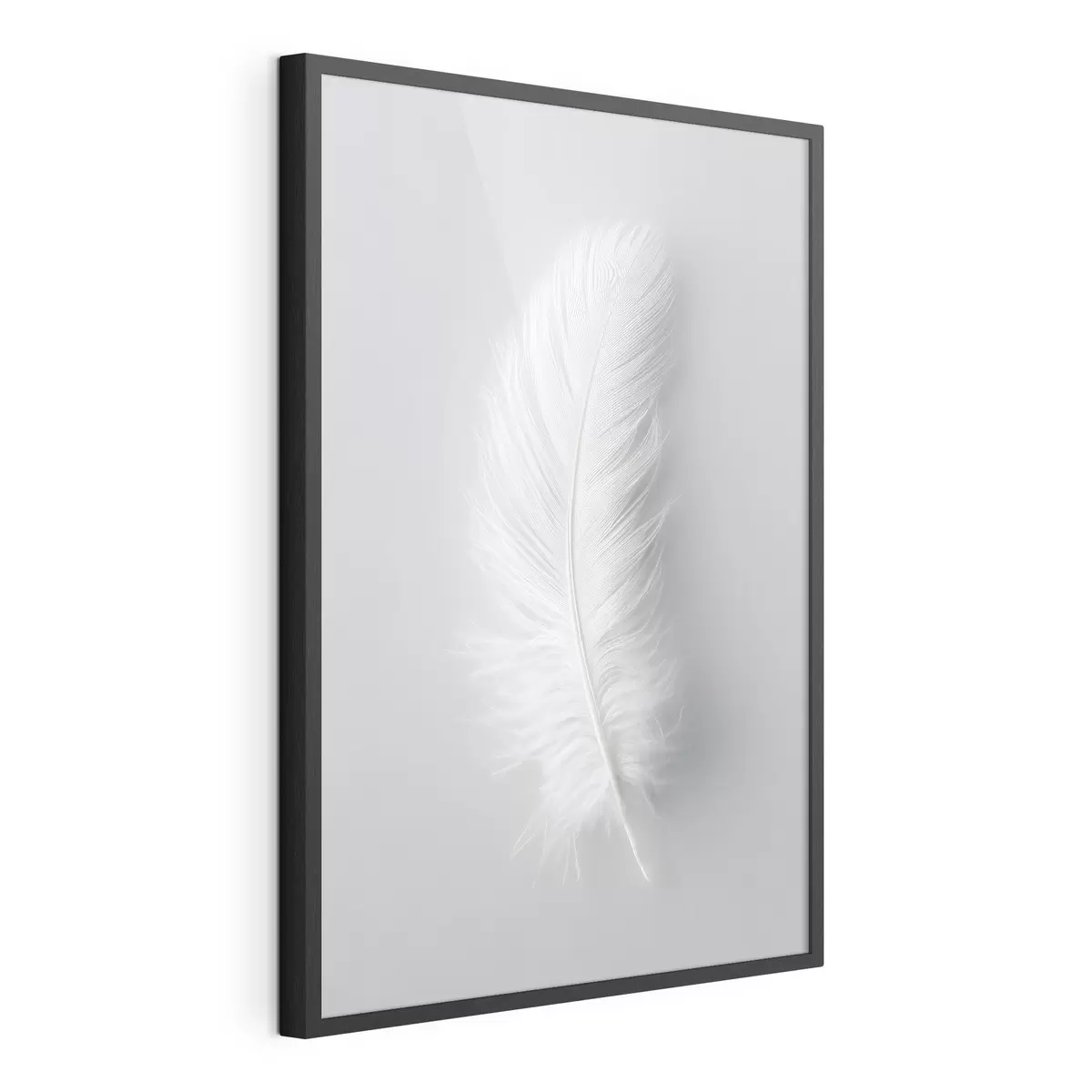 Poster Plumes et âme f48782