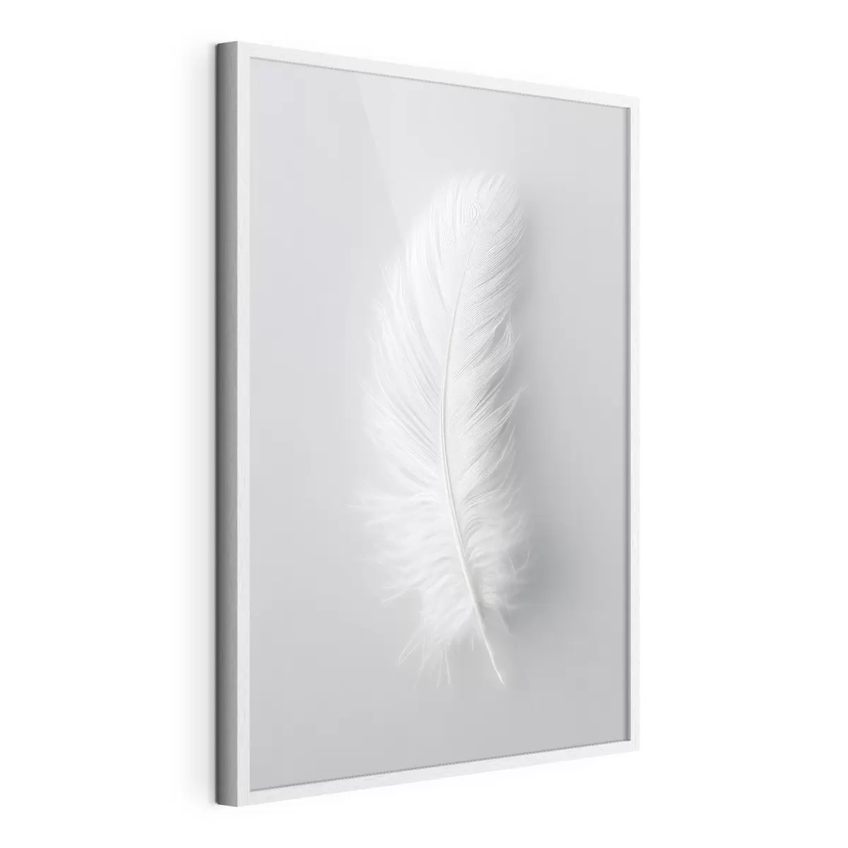 Poster Plumes et âme f48782