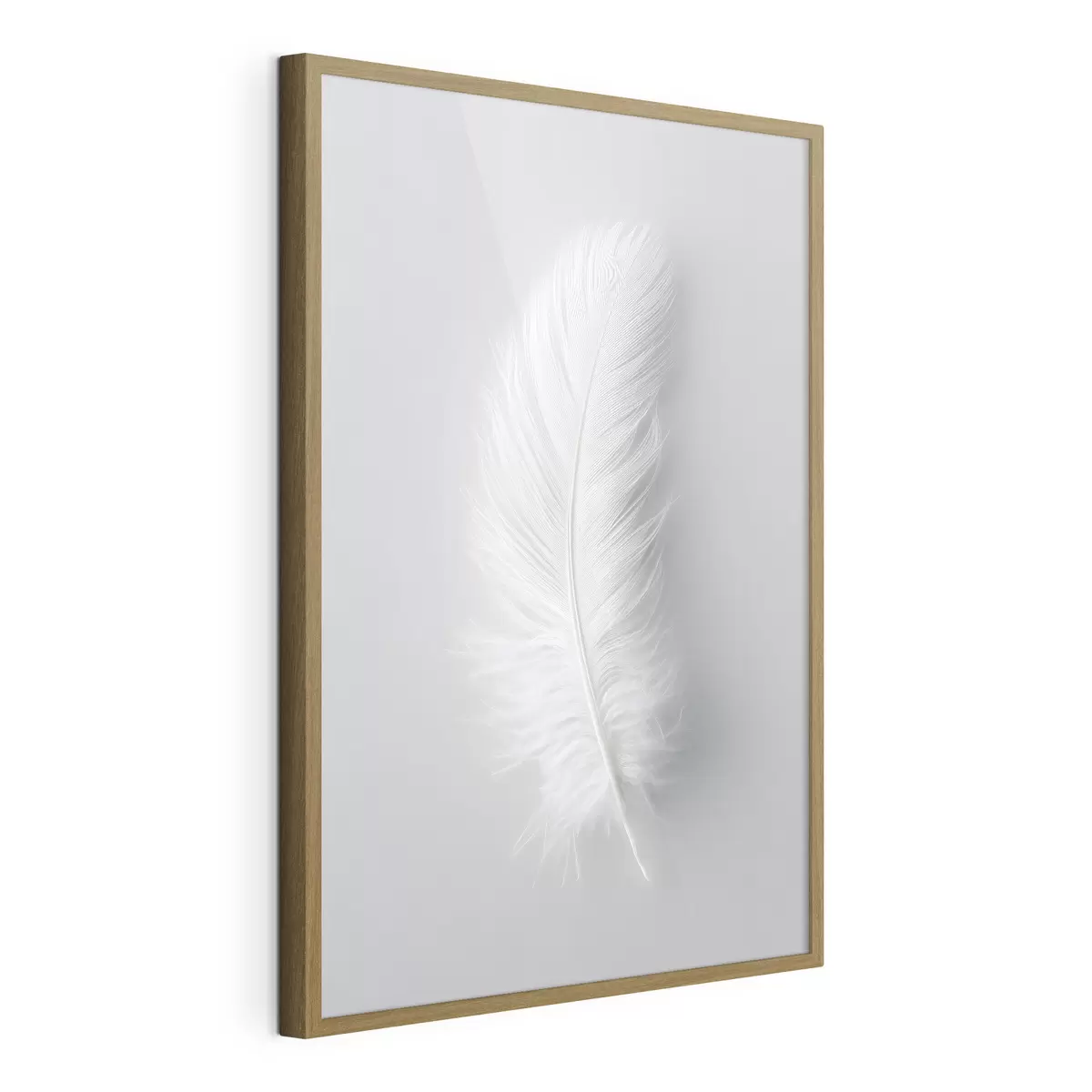 Poster Plumes et âme f48782