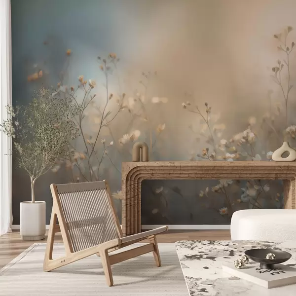 Dernières créations