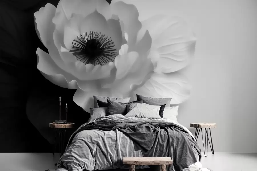 Papier peint Une fleur blanche contrastant avec son cœur sombre sur un fond noir et blanc w09852