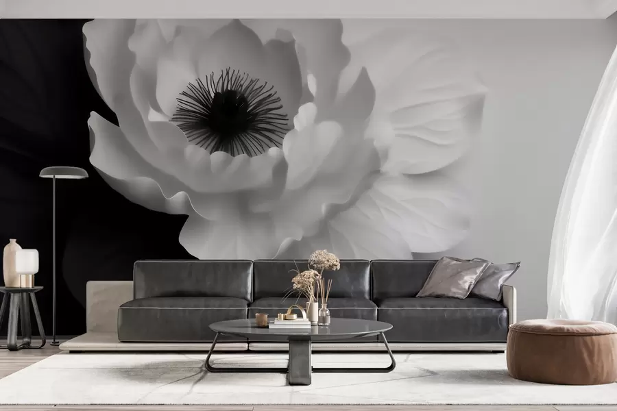 Papier peint Une fleur blanche contrastant avec son cœur sombre sur un fond noir et blanc w09852