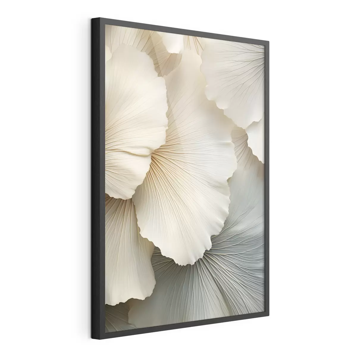 Poster Pétales de fleurs f48972