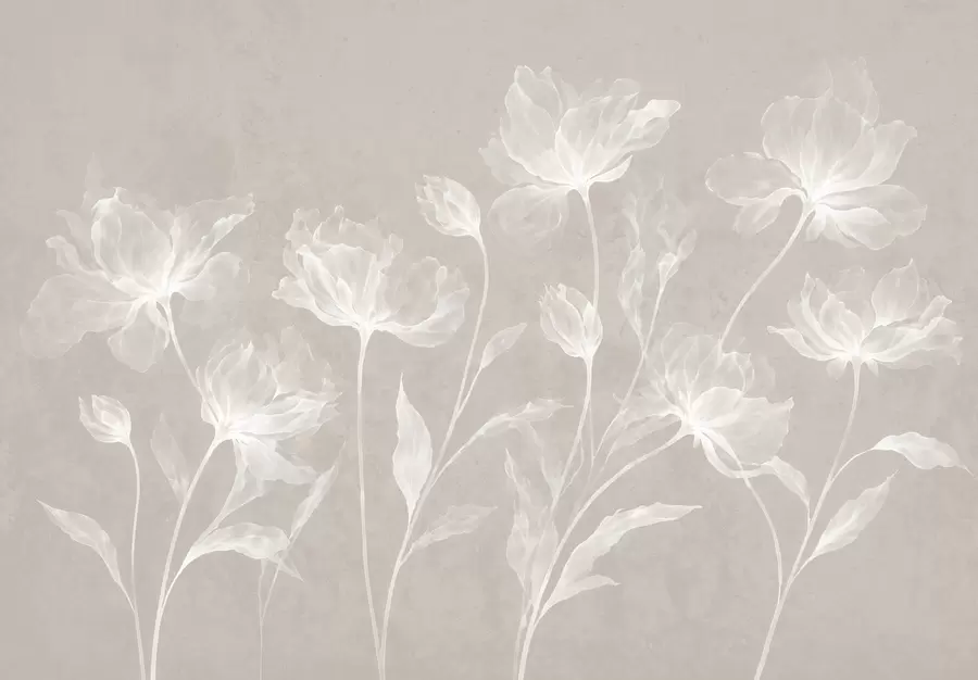 Papier peint Des fleurs élégantes et aériennes, aux pétales translucides superposés, portées par de longues tiges délicates w05579v1