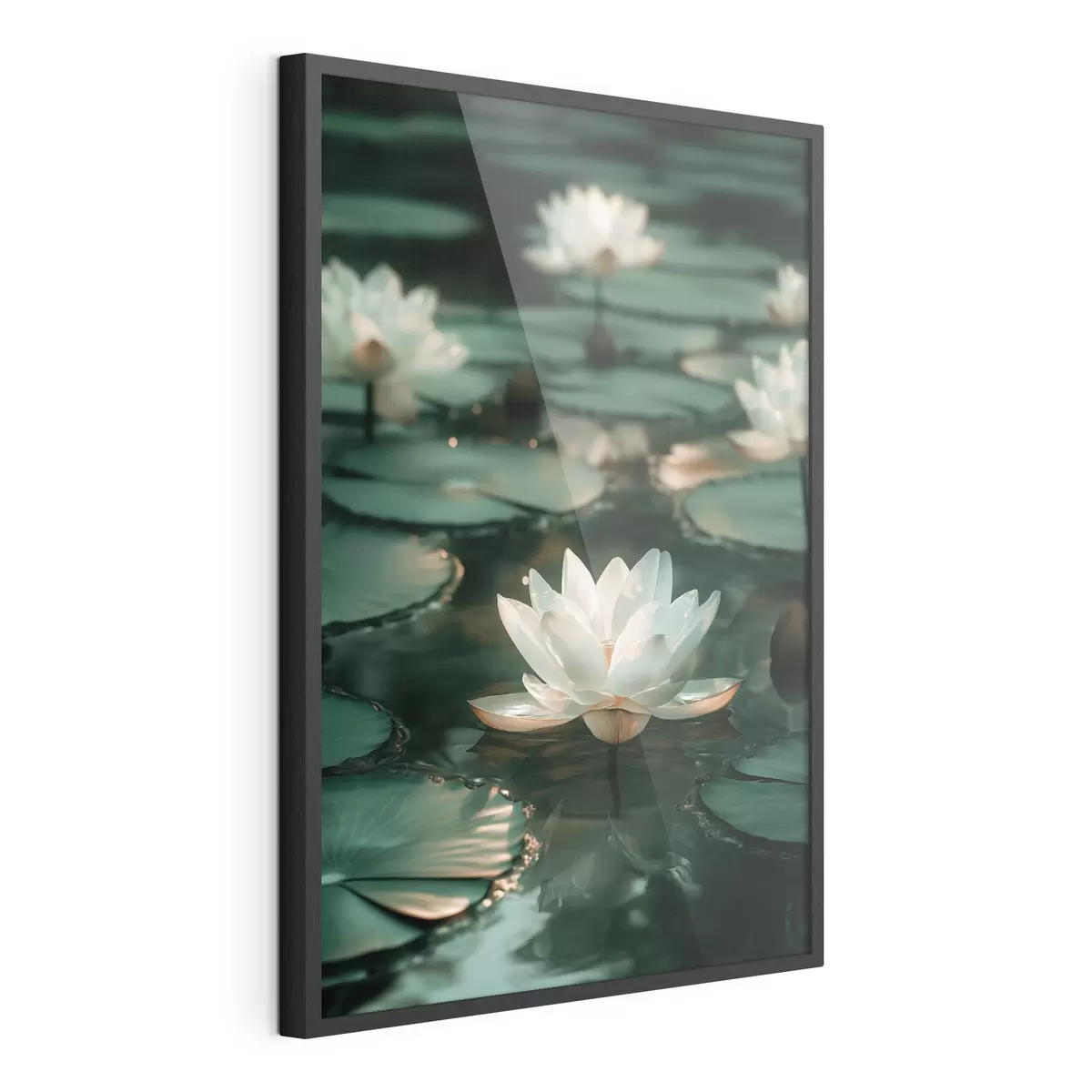 Poster Des fleurs de lotus pâles sur une eau sombre f49197