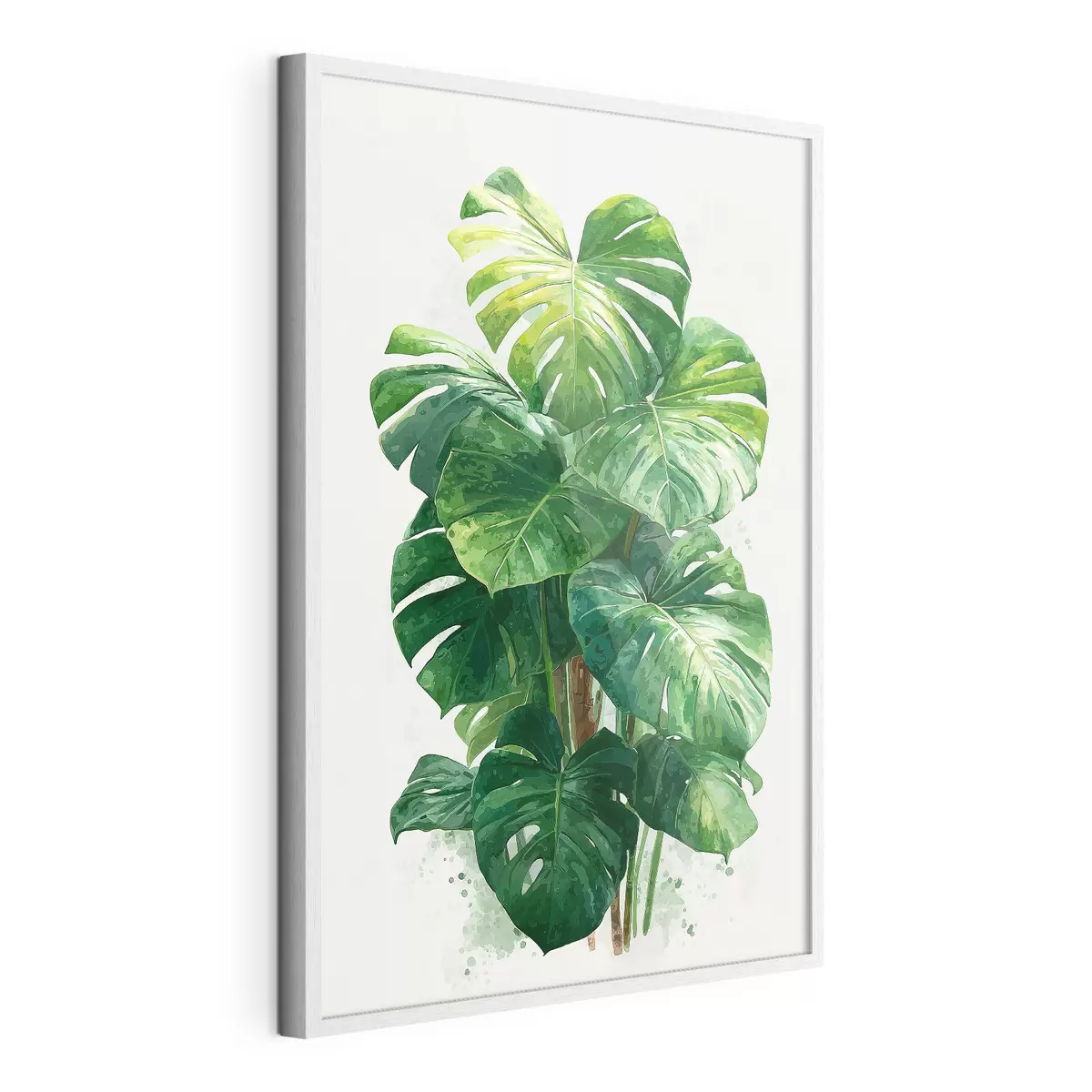 Poster Lumière pour Monstera f49336