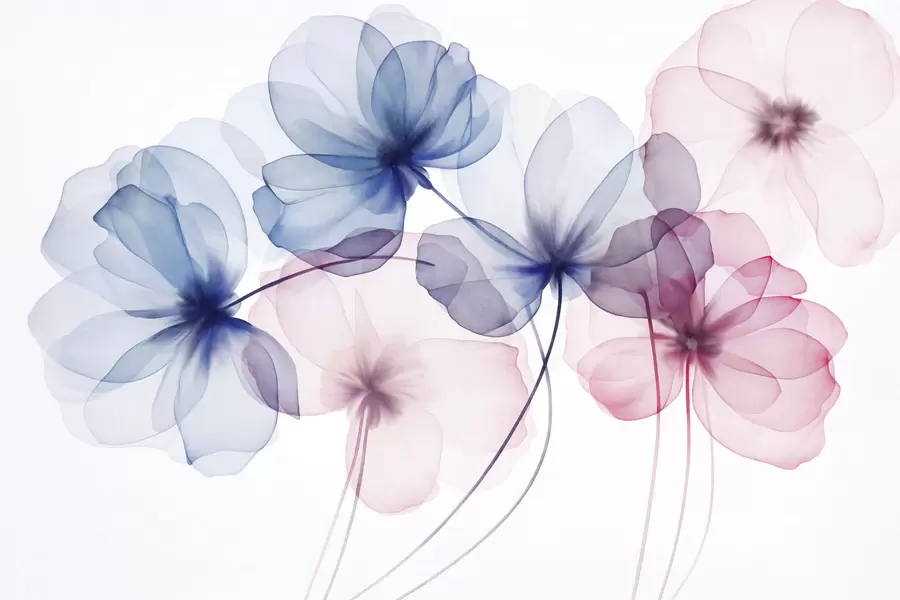 Papier peint Fleurs bleues et roses translucides et texturées sur fond clair, dont les pétales délicats se chevauchent w09892