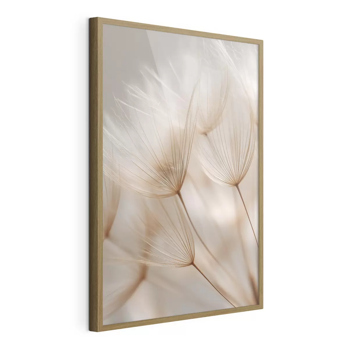 Poster Pissenlit des airs f49428