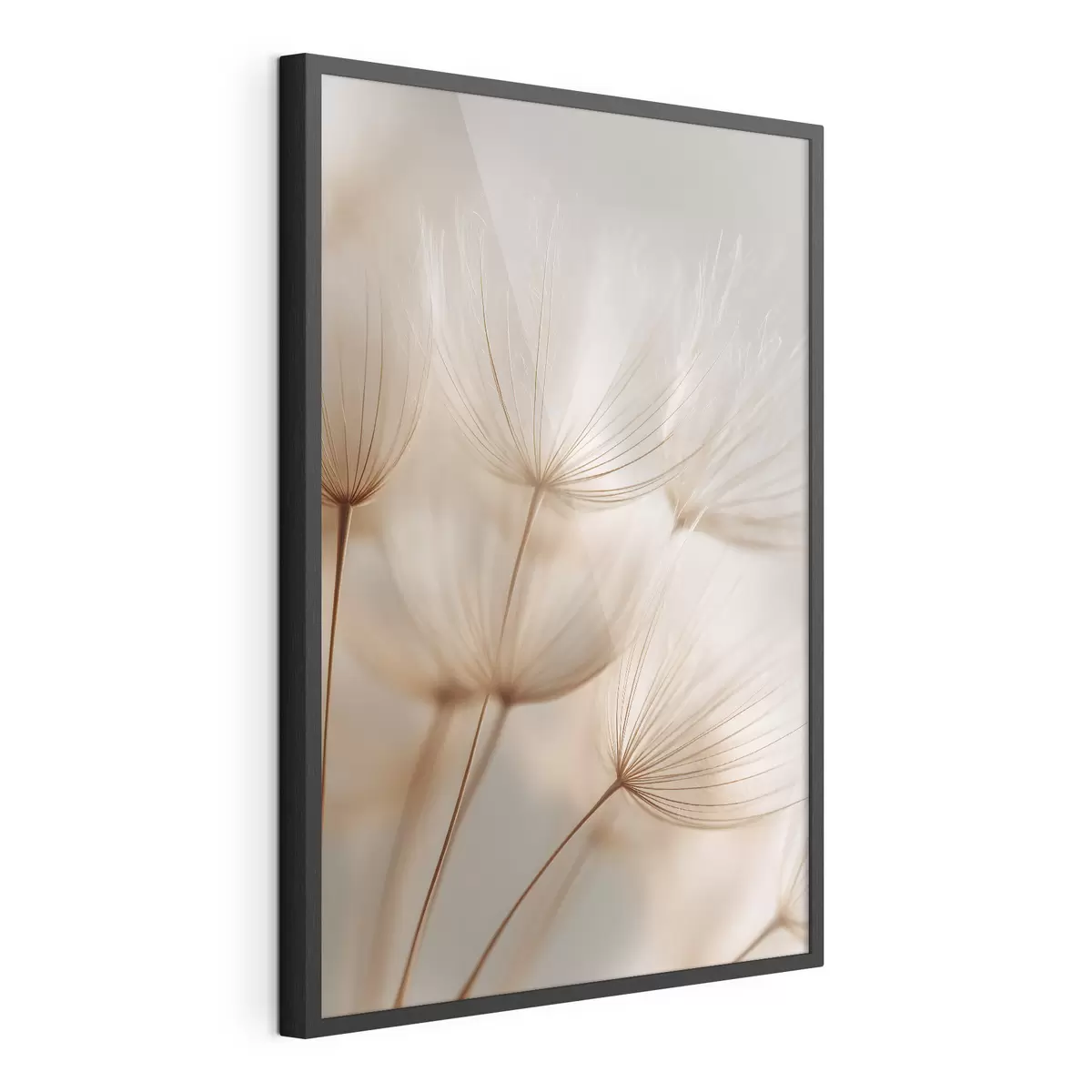 Poster Pissenlit des airs f49429
