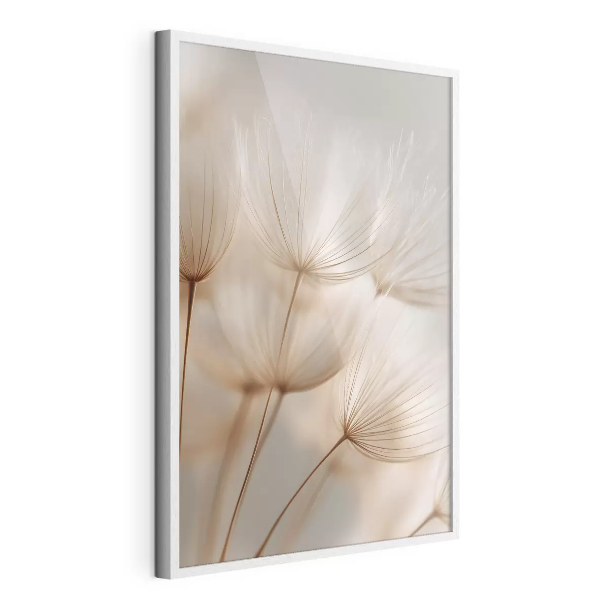 Poster Pissenlit des airs f49429