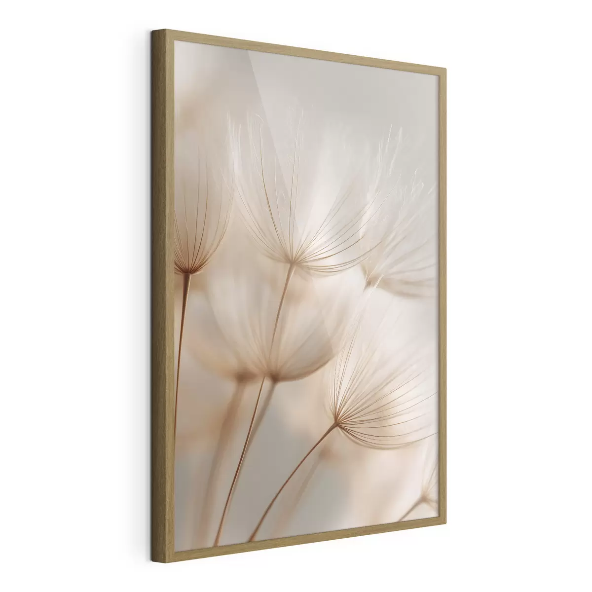 Poster Pissenlit des airs f49429