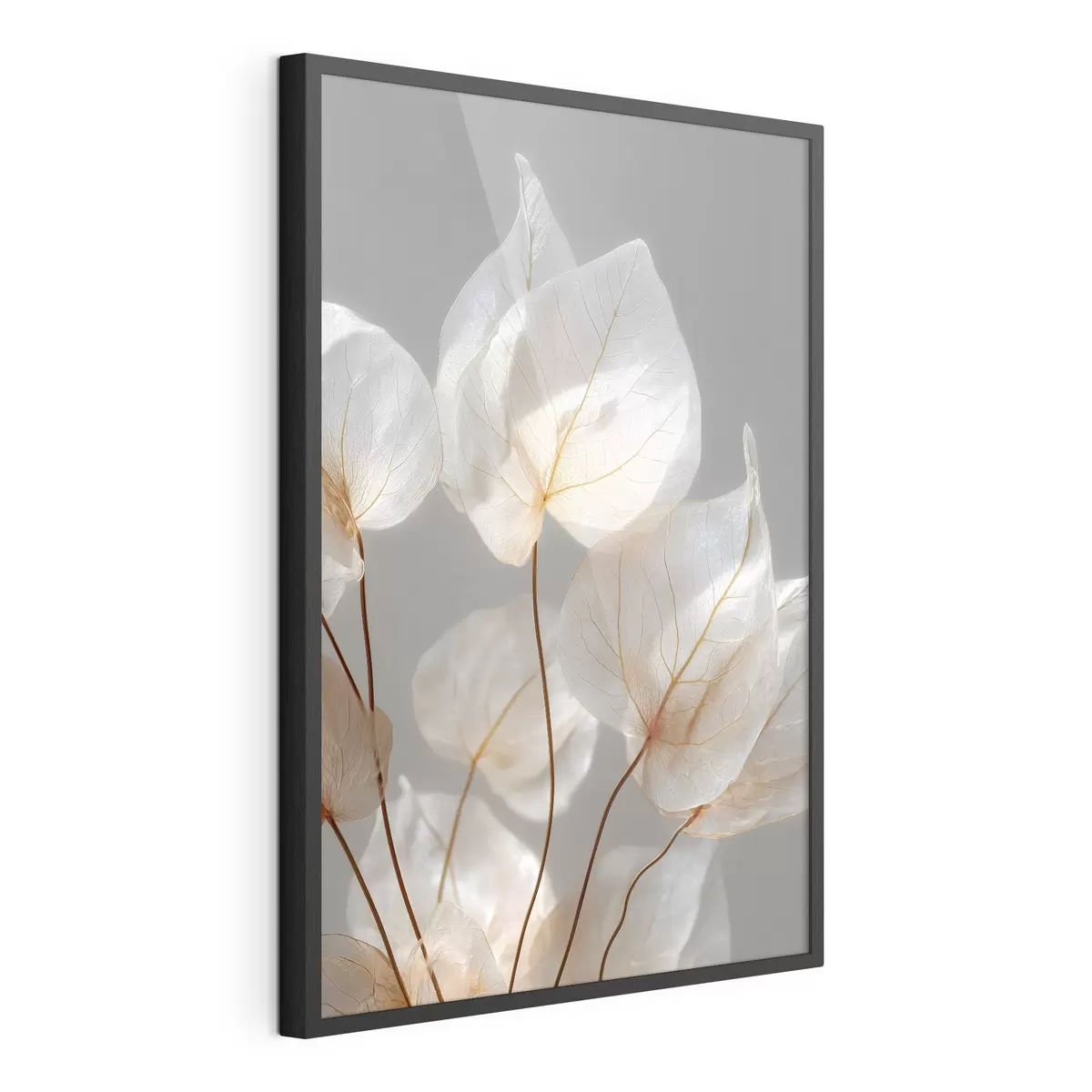 Poster des feuilles blanches aux nervures apparentes sur fond gris f49558