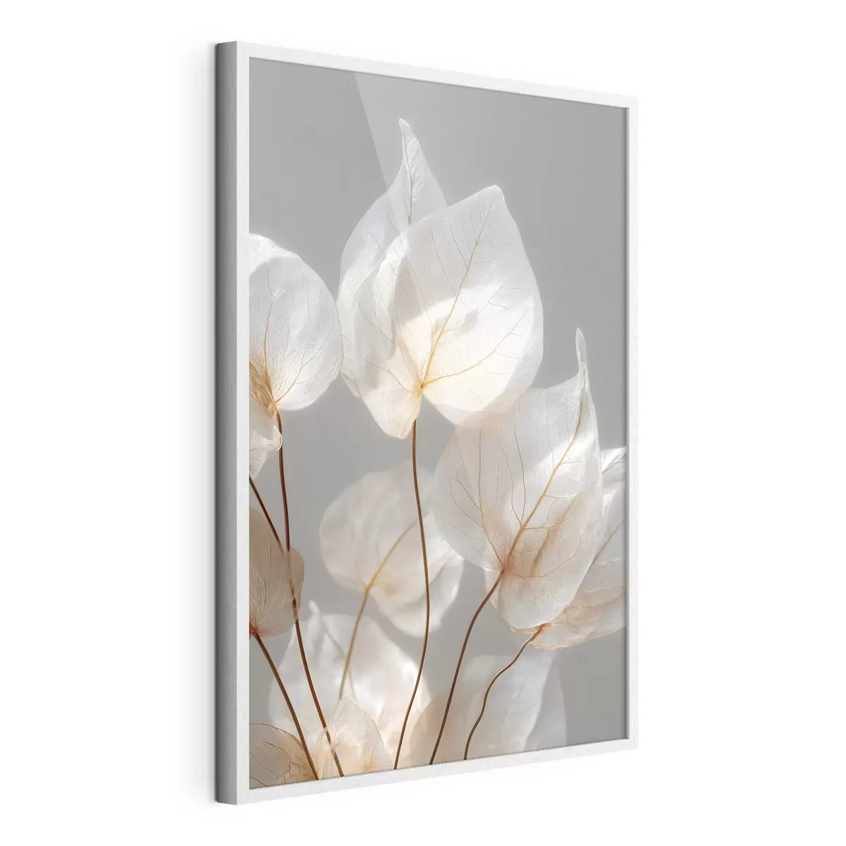 Poster des feuilles blanches aux nervures apparentes sur fond gris f49558