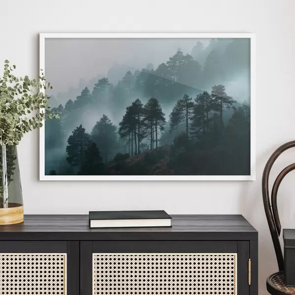 Forêts et arbres